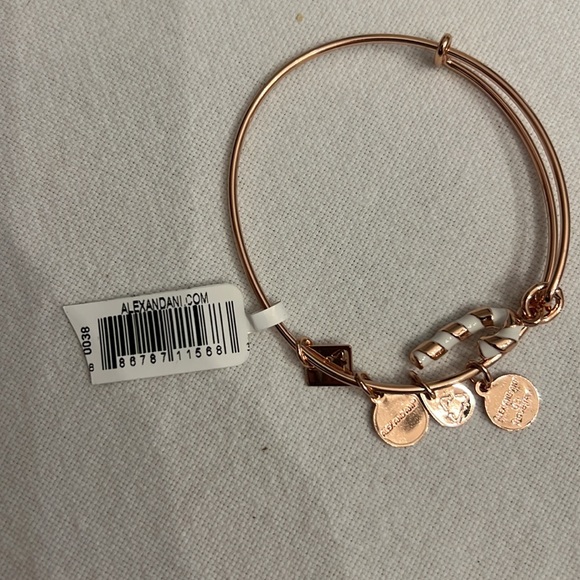 Alex and ani bangle candy cane bracelet - Picture 5 of 8
